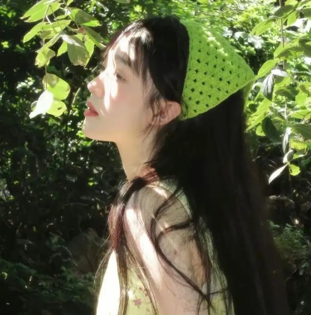 侠捕